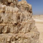 Private Day Tour To White Desert And Bahariya Oasis - Exploring the Black Desert and Crystal Mountain