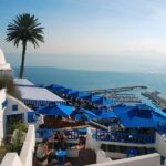 Private Day Tour Tunis Medina Carthage Sidi Bou Said Bardo Museum - FAQs