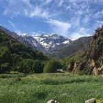 Private Day trip Atlas Mountains and 5 Valleys -All inclusive- - Who Is This Tour Best For?