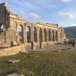 private Day trip from Fez to Volubilis and Meknes (without shopping) - Realities and Considerations