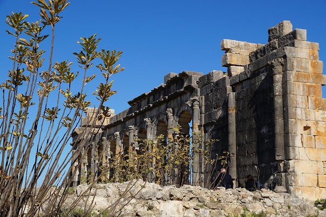 Private Day Trip From Fez To Volubilis and Meknes - What We Love (and What to Watch For)