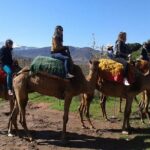 Private Day Trip from Marrakech: Camel Ride and Hike in the High Atlas Mountains - What Makes This Tour Special?