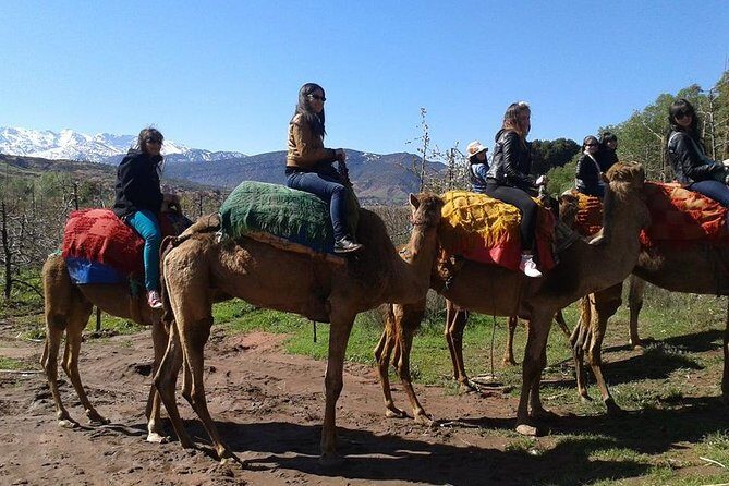 Private Day Trip from Marrakech: Camel Ride and Hike in the High Atlas Mountains - What Makes This Tour Special?