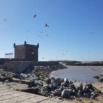 Private day trip from Marrakech to Essaouira - Who This Tour Is Best For