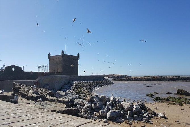 Private day trip from Marrakech to Essaouira - Who This Tour Is Best For