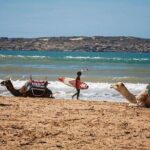 Private day trip from Marrakech to Essaouira - Who Is This Tour Best For?