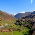 Private Day Trip From Marrakech To Ourika Valley Waterfalls in (All inclusive) - The Itinerary in Detail