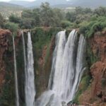 Private Day trip from Marrakech to Ouzoud Waterfalls - Authentic Experiences and Real Traveler Insights