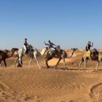 Private Day Trip Ksar Ghilane Oasis - The Value of This Tour