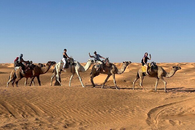 Private Day Trip Ksar Ghilane Oasis - The Value of This Tour