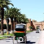 Private Day Trip of Taroudant & Tiout from Agadir - A Closer Look at the Itinerary