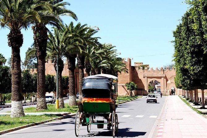 Private Day Trip of Taroudant & Tiout from Agadir - A Closer Look at the Itinerary