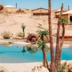 Private Day Trip to Agafay Desert With Quad, Camel Ride & Lunch - What Sets This Tour Apart?