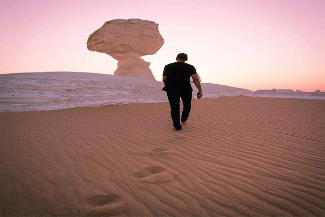 Private Day Trip To Bahariya Oasis with Black Sahara from Cairo - Exploring the Desert Landscapes