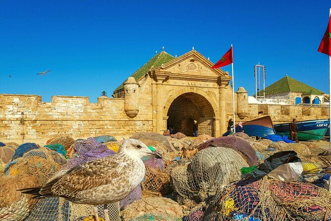 Private Day Trip to Essaouira and Argan Forest from Marrakech - Women’s Cooperative of Argan Oil: Authenticity and Insight