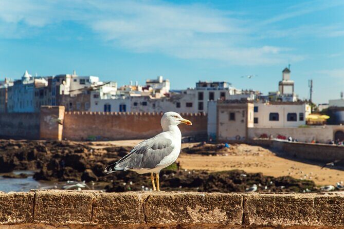 Private Day Trip to Essaouira from Marrakech - Arrival in Essaouira: Art, Culture, and Coastal Charm
