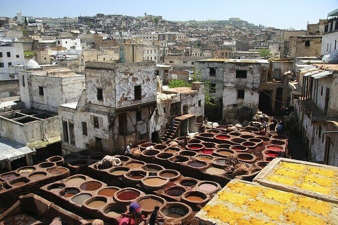 Private Day Trip to Fez from Casablanca - Authentic Experiences and Insights from Travelers