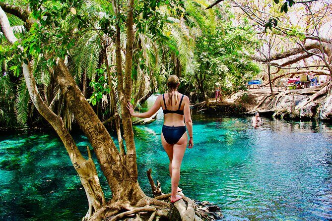 Private Day Trip to Kikuletwa Hot Springs in Kilimanjaro - Who Is This Tour Best For?