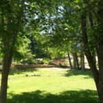 Private day trip to middle atlas from fez - Itinerary in Detail