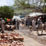 Private day trip to Ourika valley and Atlas Mountains - Authentic Experiences and Local Insights
