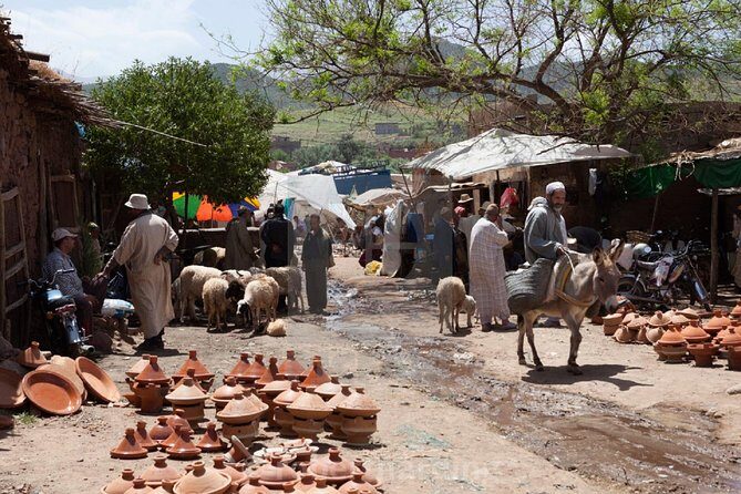 Private day trip to Ourika valley and Atlas Mountains - Authentic Experiences and Local Insights