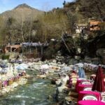 Private Day trip to ourika valley atlas mountains from marrakech - Who Would Love This Tour?