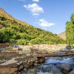 Private Day Trip to Ourika Valley from Marrakech with Lunch - Exploring the Ourika Valley