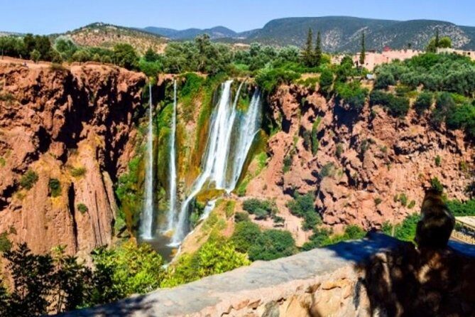 Private day trip to Ouzoud Waterfalls from Marrakech - Optional Activities at Ouzoud