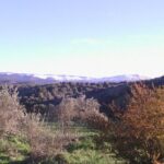 Private Day Trip to The Atlas Mountains from Fez - The Transportation and Overall Comfort