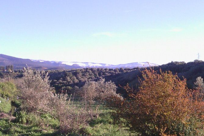 Private Day Trip to The Atlas Mountains from Fez - The Transportation and Overall Comfort