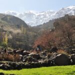 Private day trip to the High Atlas from Marrakech, - Why This Tour Stands Out