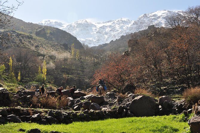 Private day trip to the High Atlas from Marrakech, - Why This Tour Stands Out