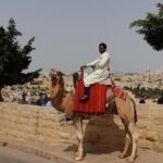 Private day trip to the Old City of Jerusalem - Summary of the Experience