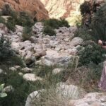 Private Day Trip to Wadi Shab & Bimmah Sinkhole Price Up To 5 Persons - Detailed Breakdown of the Tour