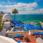 Private Day Trip Tunis Carthage Sidi Bou Said - Potential Drawbacks & Considerations