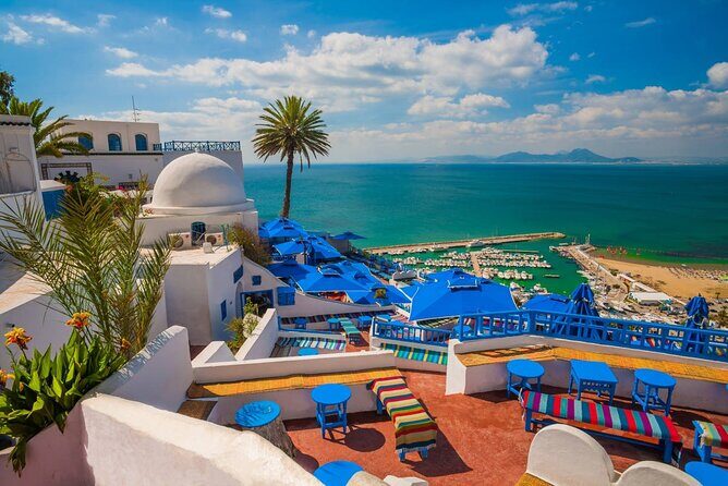 Private Day Trip Tunis Carthage Sidi Bou Said - Potential Drawbacks & Considerations