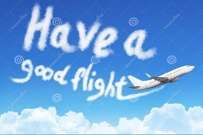Private Departure Transfer from Athens City(Hotels/Apartments) to Athens Airport - The Vehicle and Comfort Level