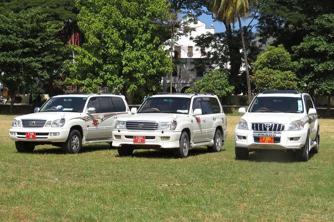 Private Departure Transfer in Zanzibar - Key Points