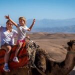 Private Desert Agafay Dinner show & Camel Ride - The Practical Details