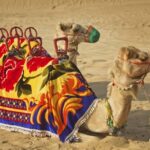 Private Desert Safari Dubai with BBQ Dinner - Price & Value Analysis