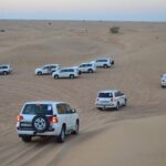 Private Desert Safari From Dubai: Including Buffet Dinner and Live Entertainment - A Closer Look at the Dubai Desert Safari