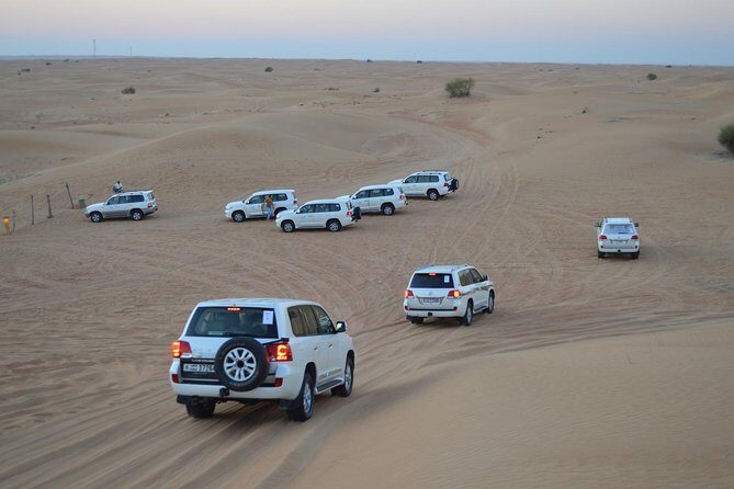 Private Desert Safari From Dubai: Including Buffet Dinner and Live Entertainment - A Closer Look at the Dubai Desert Safari