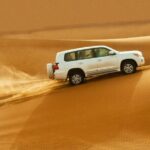 Private Desert Safari in Dubai with Pickup - The Practical Side: Duration, Price, and What You Get