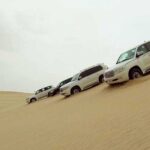 Private Desert Safari, Sand Dunes Bashing and Inland Sea Visit - Detailed Breakdown of Itinerary