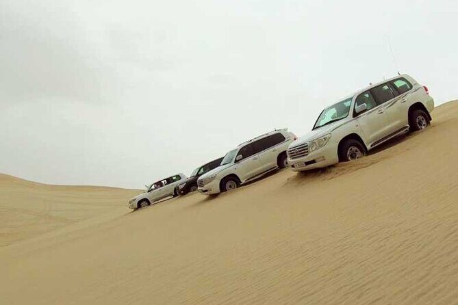Private Desert Safari, Sand Dunes Bashing and Inland Sea Visit - Detailed Breakdown of Itinerary