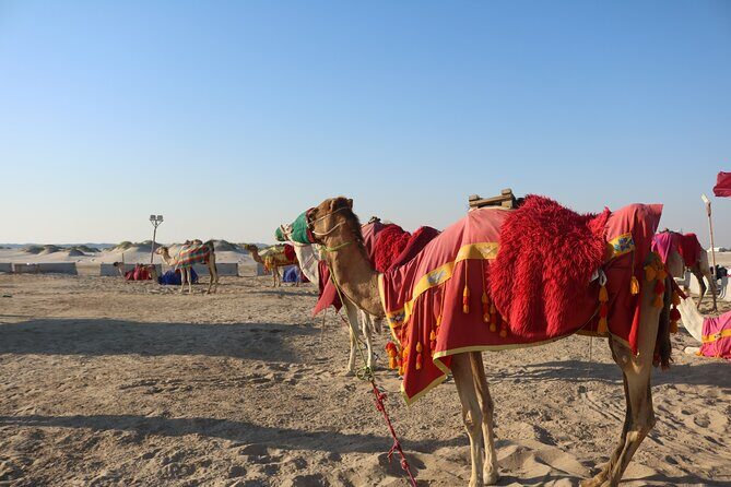 Private Desert Safari Tour 4 hours - How the Experience Can Be Enhanced