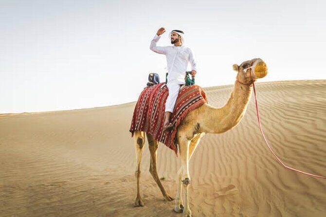Private Desert Safari Tour in Dubai - Final Thoughts