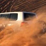 Private Desert Safari Tour in Dubai - What the Reviews Say