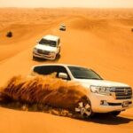 Private Desert Safari Tour With Dune Bashing in Dubai - In-Depth Look at the Itinerary