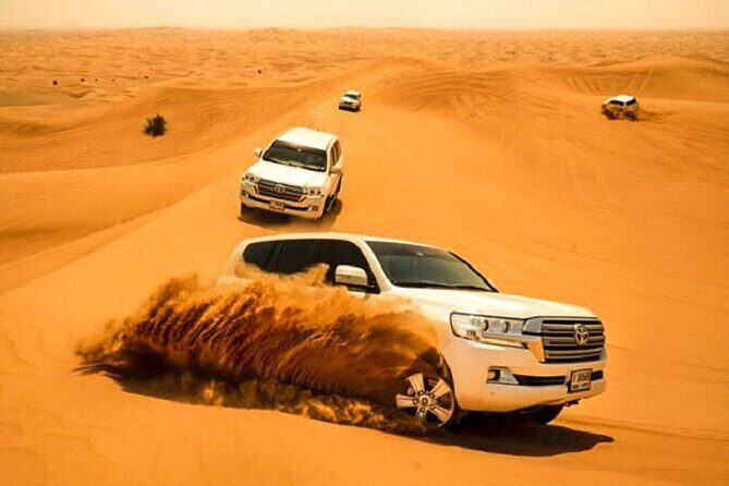 Private Desert Safari Tour With Dune Bashing in Dubai - In-Depth Look at the Itinerary